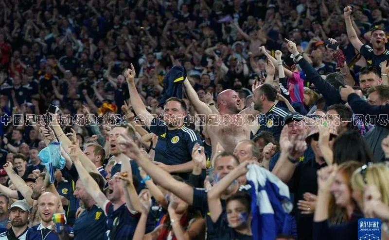 贝博官网下载普信公司中国足球运动场地数据：全面解析中国足球场地设施，专业数据一网打尽