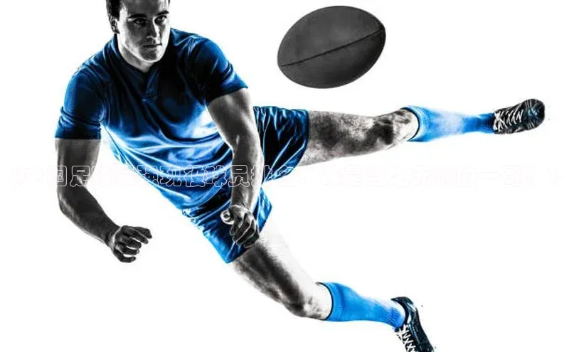 贝博平台客户端app同程《中国足球最强现役球员排名，谁是当之无愧的一哥？》