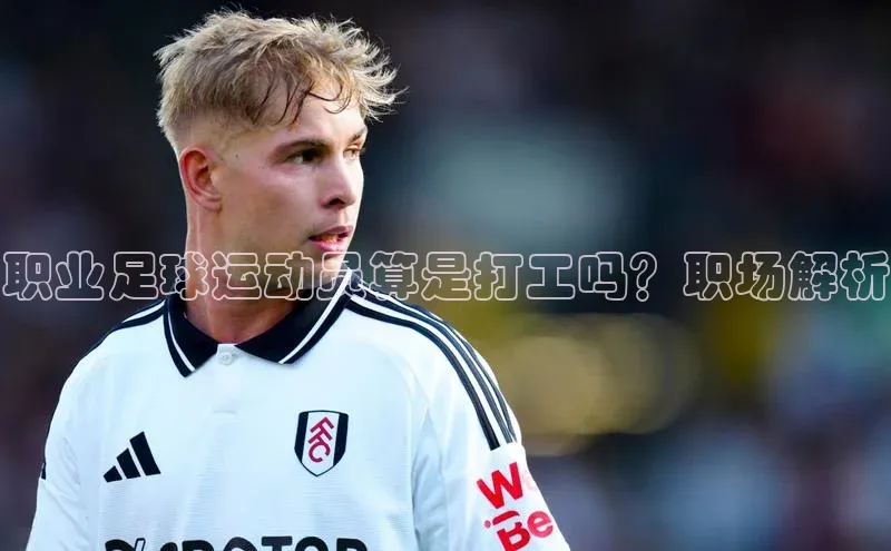 贝博betball体育app下载阿里尔公司