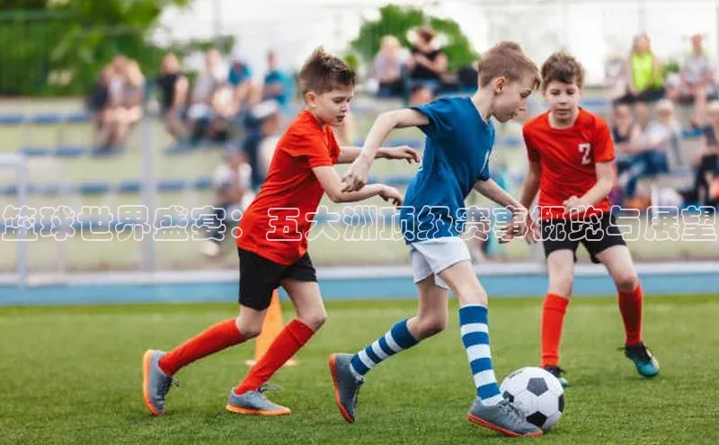 BB贝博艾弗森官方网站58同城篮球世界盛宴：五大洲顶级赛事概览与展望