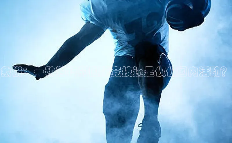 bestbio-贝博挪威主权基金象棋：一种独特的国际竞技还是仅仅国内活动？