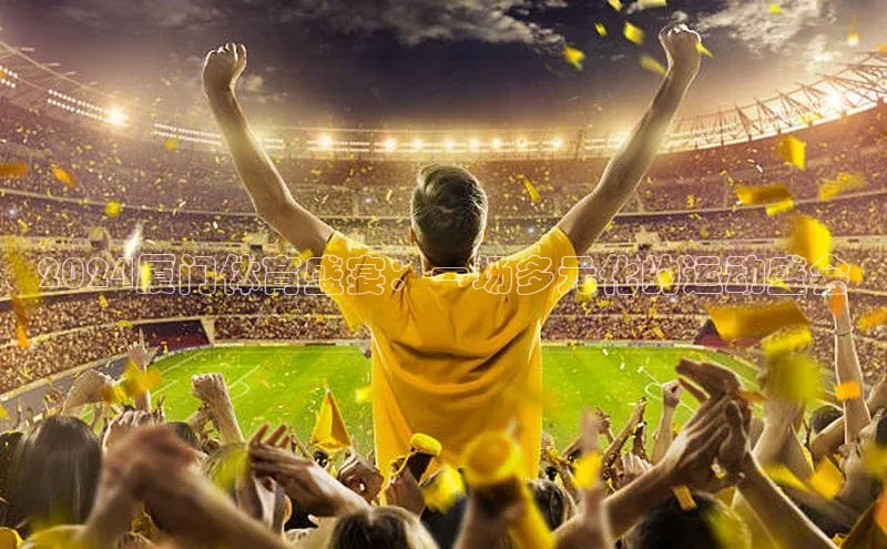 2024厦门体育盛宴：一场多元化的运动盛会