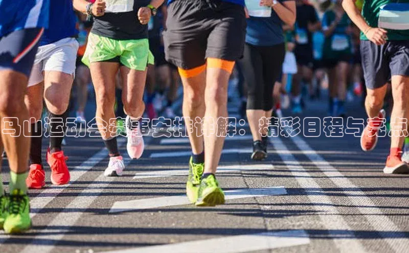 马山运动会赛事安排详解：精彩日程与亮点