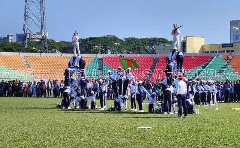 全球视野：中国运动赛事热度分析与趋势预测报告