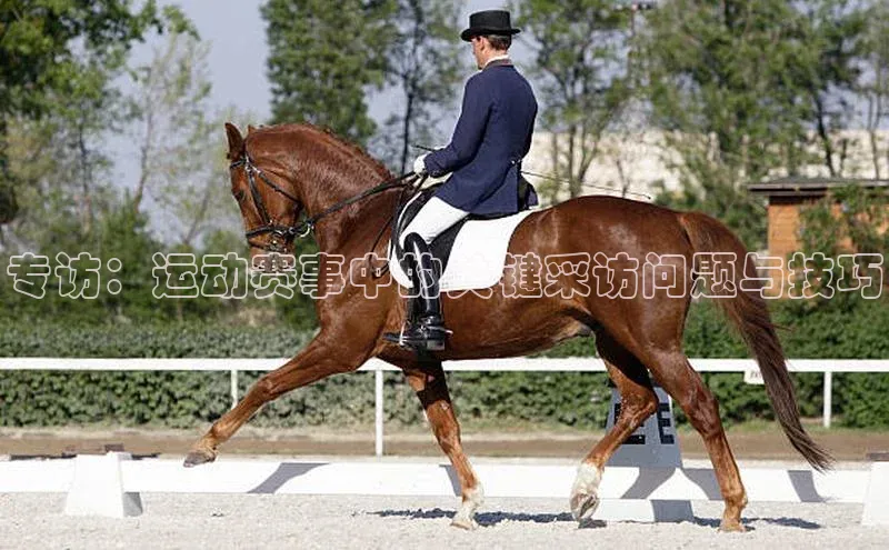 专访：运动赛事中的关键采访问题与技巧