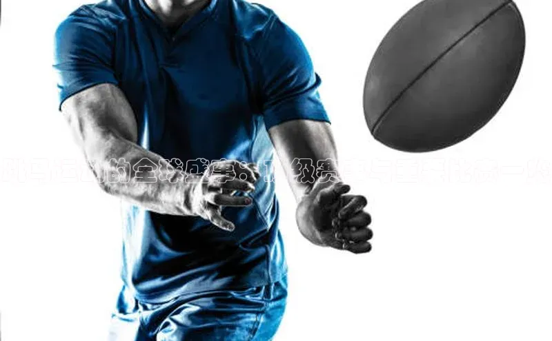 跳马运动的全球盛事：顶级赛事与重要比赛一览