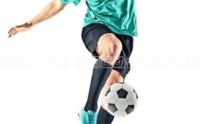 青春的旋律：校园运动会的风采展现