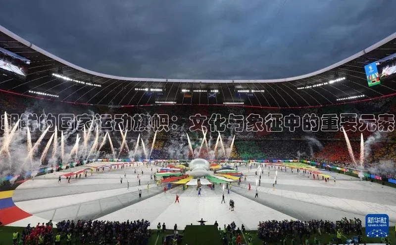 朝鲜的国家运动旗帜：文化与象征中的重要元素