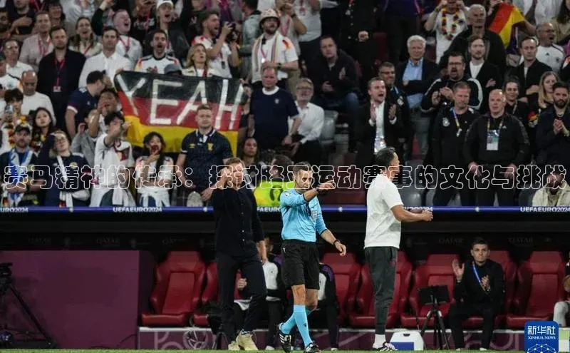 赛马精神的传承：探讨路亚运动赛事的文化与挑战