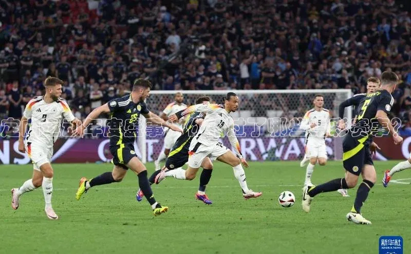 定向运动年度盛事：你错过了哪些精彩赛事？