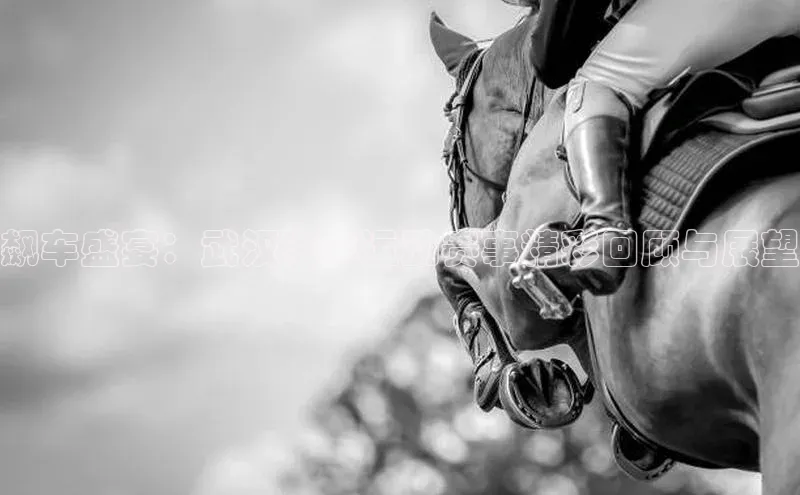 贝博APP体育网页