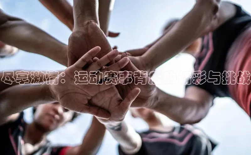 bb体育官网app下载