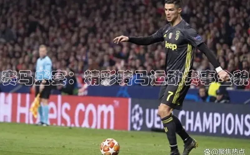 BB贝博平台登录app下载