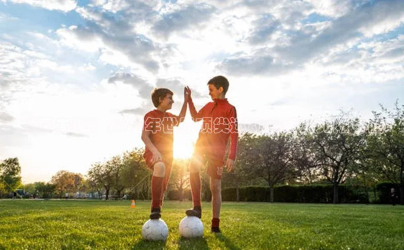 BB贝博平台登录app下载