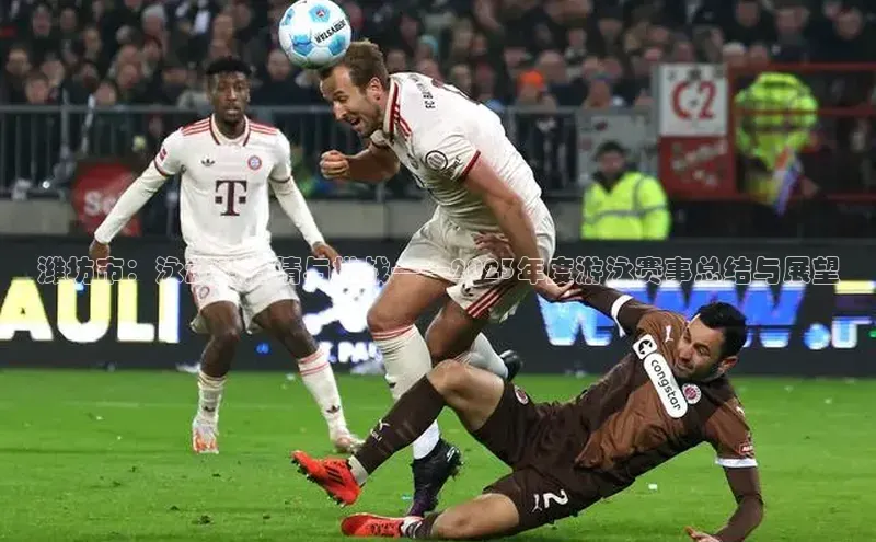 潍坊市：泳动的激情与挑战——2023年度游泳赛事总结与展望